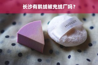 长沙有鹅绒被充绒厂吗？