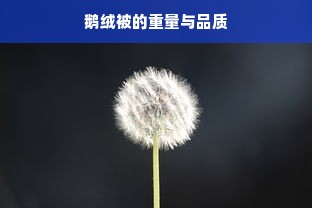 鹅绒被的重量与品质