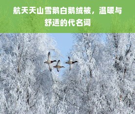 航天天山雪鹅白鹅绒被，温暖与舒适的代名词