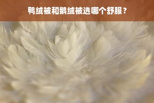 迪士尼家纺品牌怎么授权（迪士尼家纺品牌怎么授权使用）