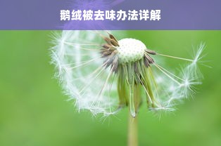 鹅绒被去味办法详解