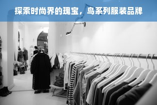 探索时尚界的瑰宝，鸟系列服装品牌