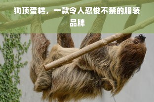 狗顶蛋糕，一款令人忍俊不禁的服装品牌