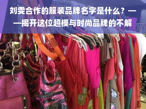 刘雯合作的服装品牌名字是什么？——揭开这位超模与时尚品牌的不解之缘