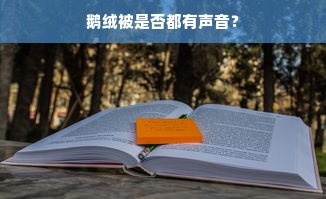 鹅绒被是否都有声音？