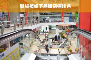 鹅绒被线下品牌店铺排名