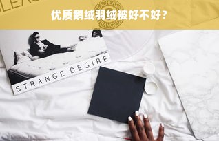 优质鹅绒羽绒被好不好？