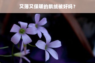 又薄又保暖的鹅绒被好吗？