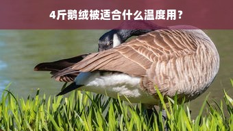 4斤鹅绒被适合什么温度用？