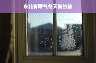 东北有暖气冬天鹅绒被