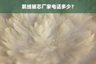 鹅绒被芯厂家电话多少？