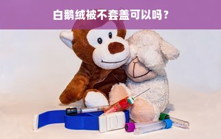 白鹅绒被不套盖可以吗？