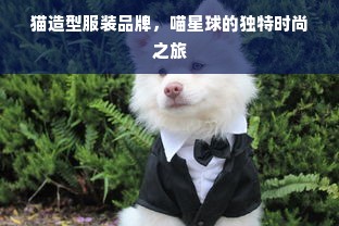 猫造型服装品牌，喵星球的独特时尚之旅