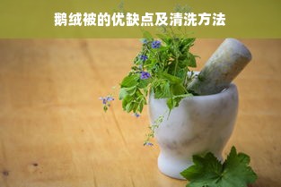 鹅绒被的优缺点及清洗方法