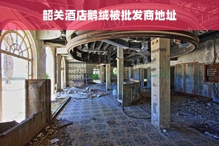 韶关酒店鹅绒被批发商地址