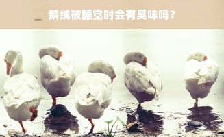 鹅绒被睡觉时会有臭味吗？