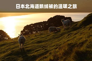 日本北海道鹅绒被的温暖之旅