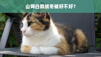 山姆白鹅绒冬被好不好？