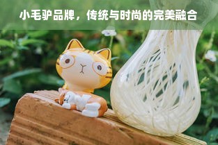 小毛驴品牌，传统与时尚的完美融合