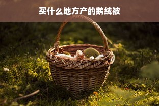 买什么地方产的鹅绒被