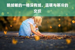 鹅绒被的一格没有绒，温暖与寒冷的交织