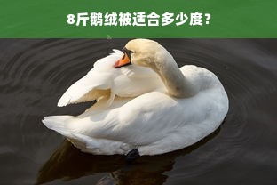 8斤鹅绒被适合多少度？