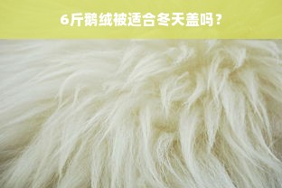 6斤鹅绒被适合冬天盖吗？