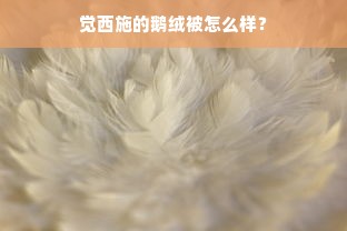 觉西施的鹅绒被怎么样？