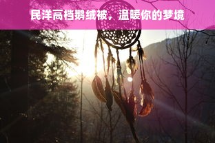 民洋高档鹅绒被，温暖你的梦境