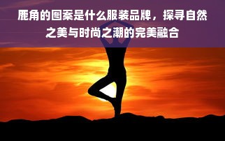 鹿角的图案是什么服装品牌，探寻自然之美与时尚之潮的完美融合