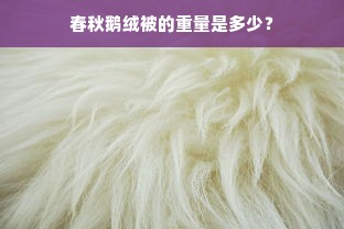 春秋鹅绒被的重量是多少？