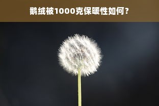 鹅绒被1000克保暖性如何？