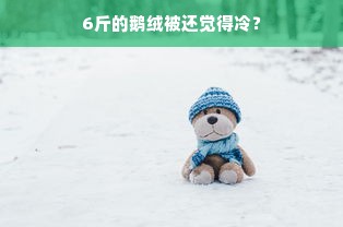 6斤的鹅绒被还觉得冷？