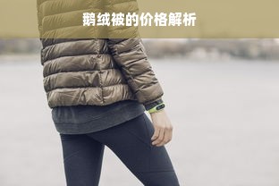 鹅绒被的价格解析