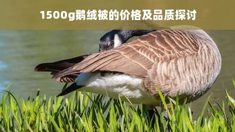 1500g鹅绒被的价格及品质探讨