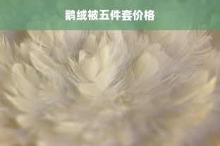 鹅绒被五件套价格