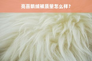 亮喜鹅绒被质量怎么样？