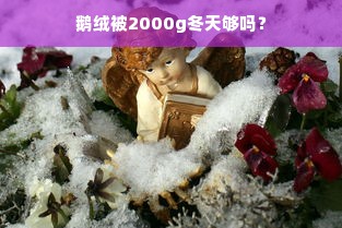 鹅绒被2000g冬天够吗？