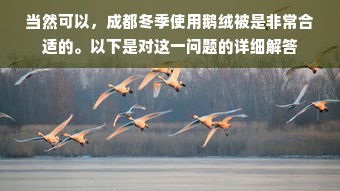 当然可以，成都冬季使用鹅绒被是非常合适的。以下是对这一问题的详细解答