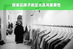 服装品牌子类定义及其重要性