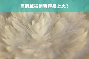 盖鹅绒被是否容易上火？