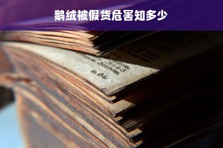 鹅绒被假货危害知多少