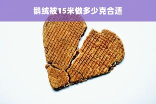 鹅绒被15米做多少克合适