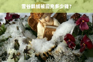 雪谷鹅绒被现充多少钱？