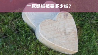 一床鹅绒被要多少绒？