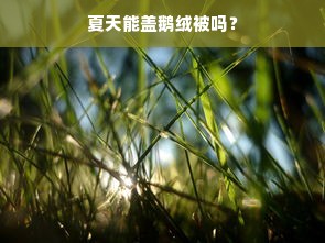 夏天能盖鹅绒被吗？