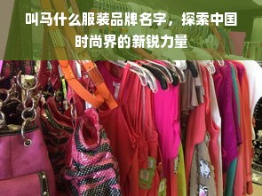 叫马什么服装品牌名字，探索中国时尚界的新锐力量