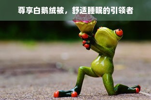 尊享白鹅绒被，舒适睡眠的引领者