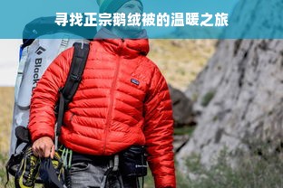 寻找正宗鹅绒被的温暖之旅