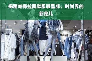 揭秘帕梅拉同款服装品牌，时尚界的新宠儿